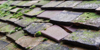 Thornwood roof repair costs